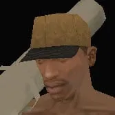 Clothing index 36: capzip (cap)